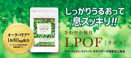素材成分にこだわった特濃ウコン 原生種ウコンはクルクミン含有量が国産春ウコンの約32倍!ウコン抽出量エキス末は約330倍! 原生種ウコン ウコン抽出エキス末(クルクミン99%) タワムラ(春ウコン末) ガジュツ(秋ウコン末)